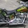 Green Harley Davidson